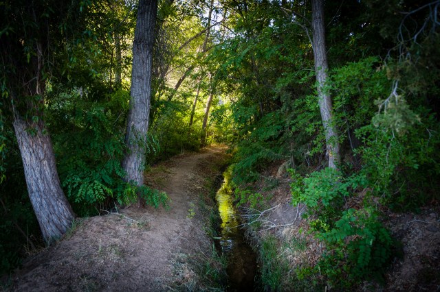 North American Thebaid Photographic Pilgrimage